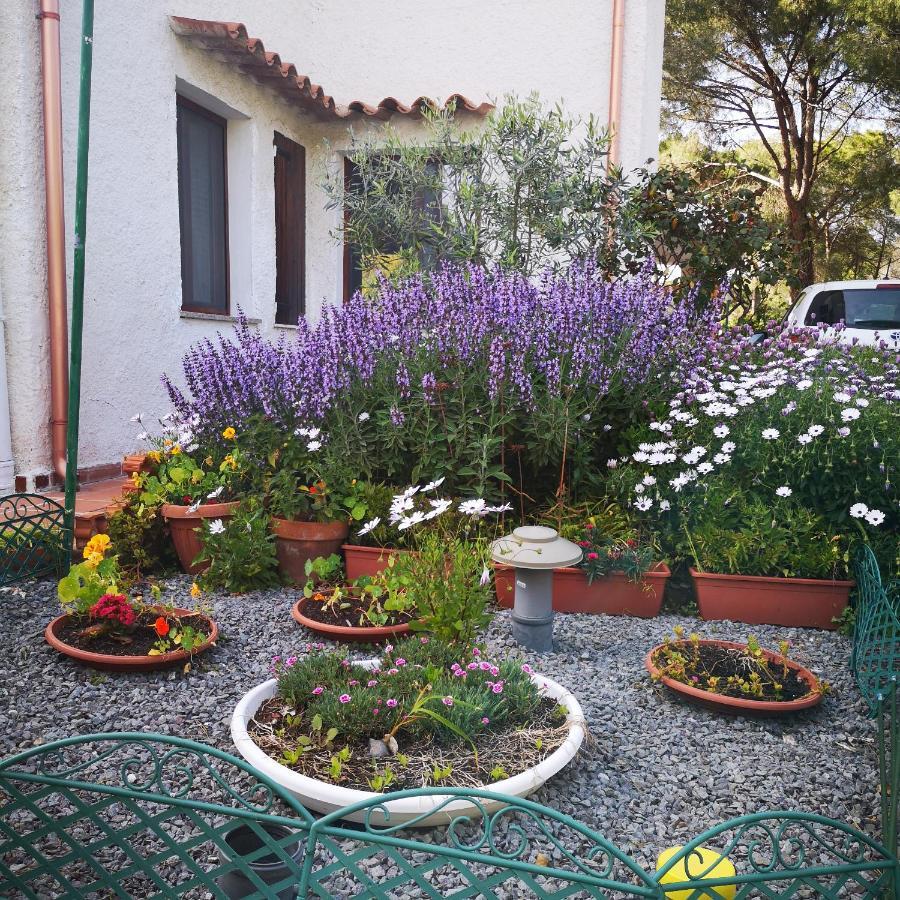 Villa Manuela Pula Exterior foto